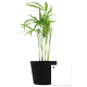Mini plante dépolluante en pot céramique publicitaire