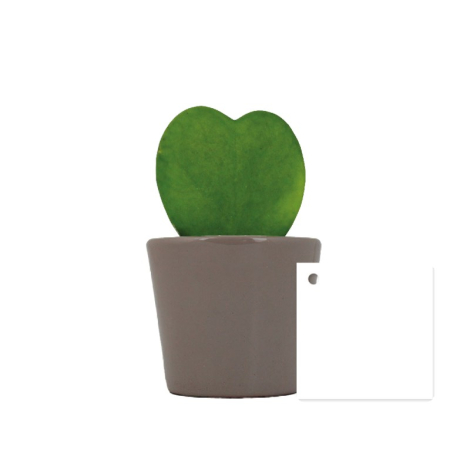 Plante en forme de cœur Hoya dans un pot publicitaire