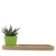 Plateau publicitaire avec plante - Naturel
