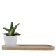Plateau publicitaire avec plante - Naturel