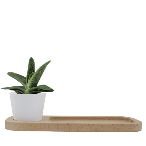 Plateau publicitaire avec plante - Naturel