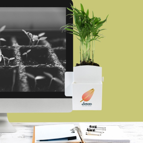 La Végétal-Box publicitaire avec plante dépolluante