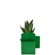 La Végétal-Box publicitaire avec plante dépolluante