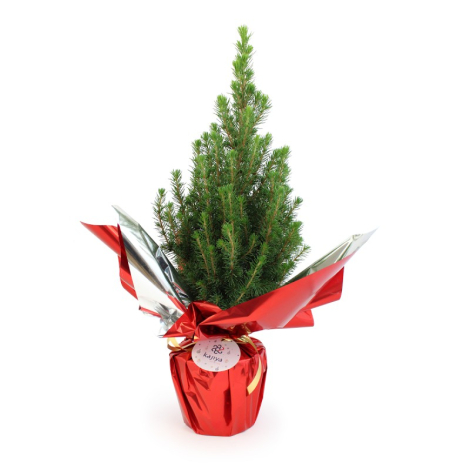 Sapin de Noël en pot publicitaire et papier métal