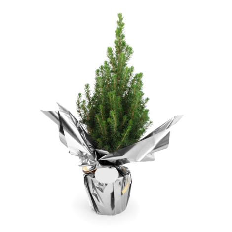 Sapin de Noël en pot publicitaire et papier métal