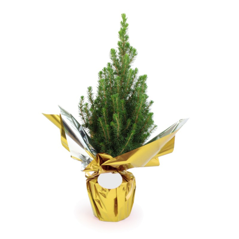 Sapin de Noël en pot publicitaire et papier métal