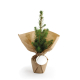 Sapin de Noël en pot publicitaire et papier métal