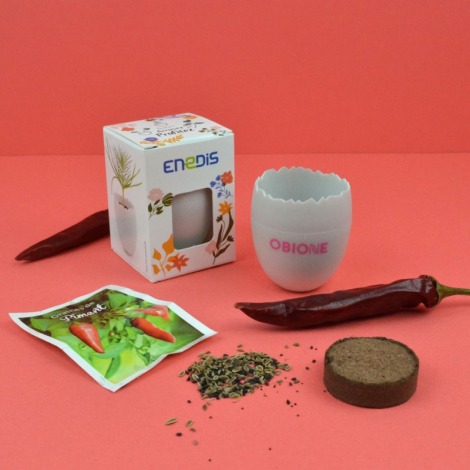 Kit œuf personnalisable