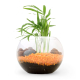 Terrarium publicitaire en kit avec une plante dépolluante
