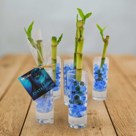 Canne chinoise en vase publicitaire