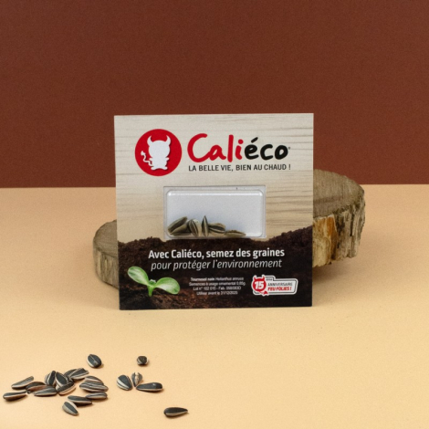 Carte publicitaire visio-graines longue ou carrée