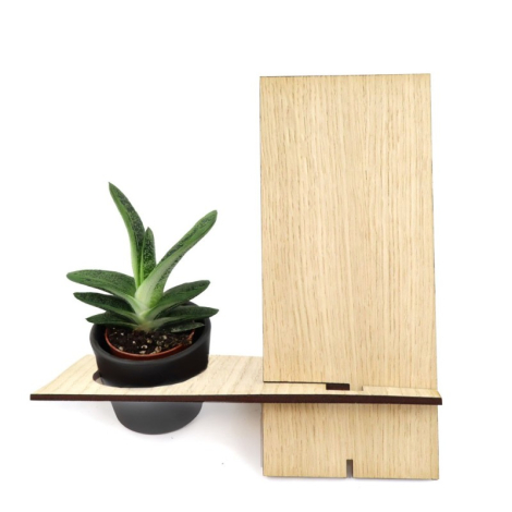 Support téléphone personnalisable avec plante en bois de chêne