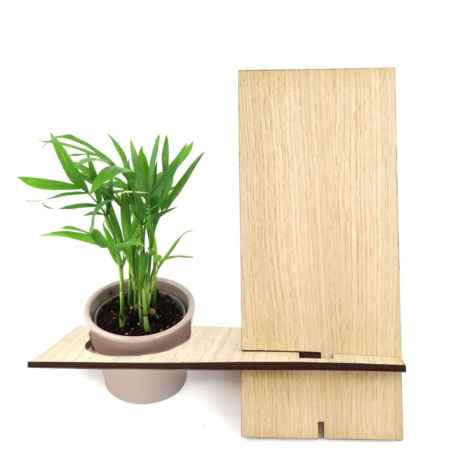 Support téléphone personnalisable avec plante en bois de chêne