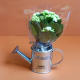 Arrosoir publicitaire en zinc avec mini plante fleurie