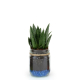 Bocal publicitaire avec une plante