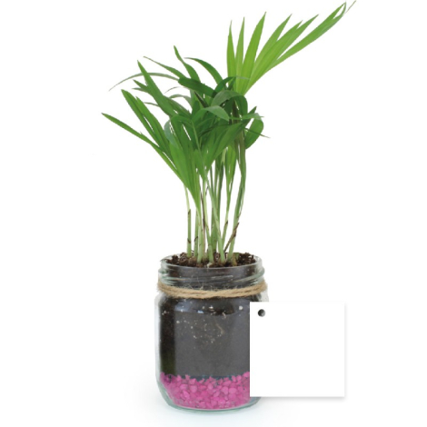 Bocal publicitaire avec une plante