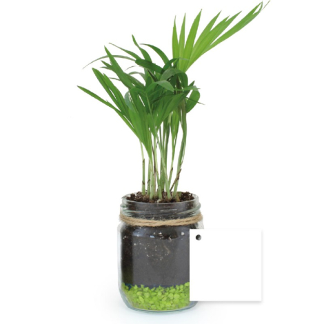 Bocal publicitaire avec une plante