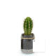 Bocal publicitaire avec une plante