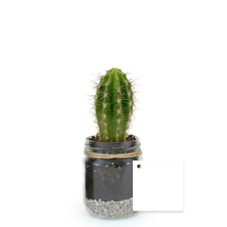 Bocal publicitaire avec une plante