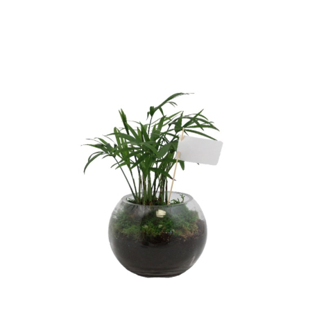 Globe publicitaire arbre prestige