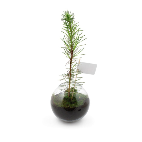 Globe publicitaire arbre prestige