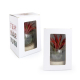 Terrarium sur socle bois publicitaire
