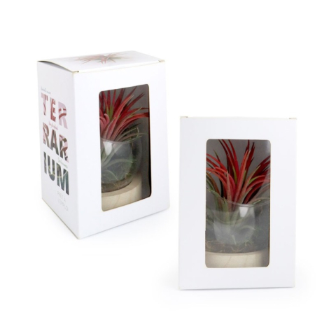 Terrarium sur socle bois publicitaire