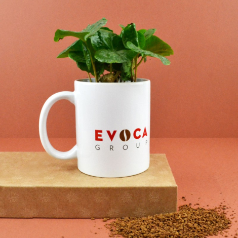 Caféier dans un mug publicitaire