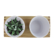 Plateau publicitaire en bois et double pot avec plante Plateau publicitaire en bois et double pot avec plante