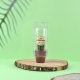 Mini serre publicitaire pot cactus