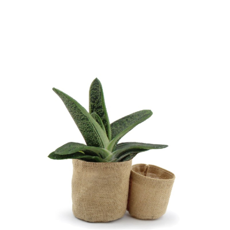 Set pots en jute personnalisés