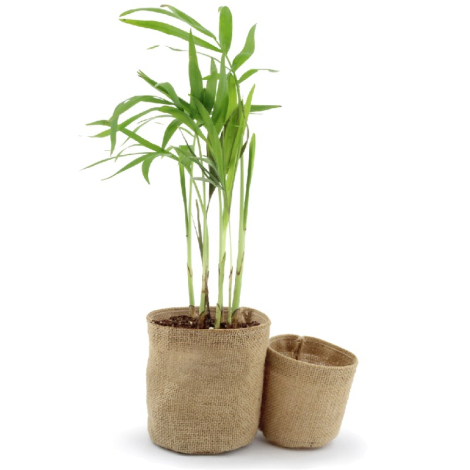 Set pots en jute personnalisés