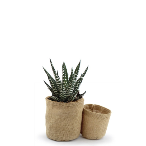 Set pots en jute personnalisés