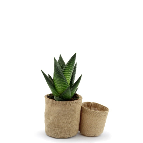 Set pots en jute personnalisés