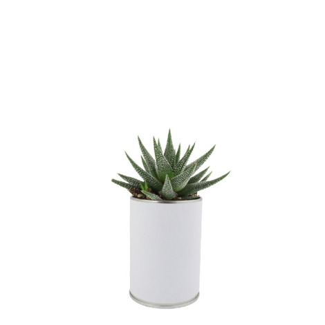 Canette à plante publicitaire