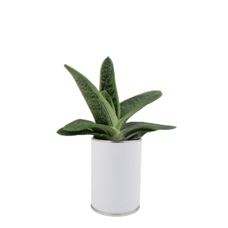 Canette à plante publicitaire