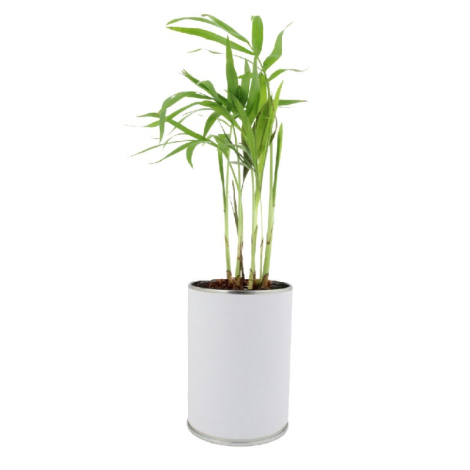 Canette à plante publicitaire