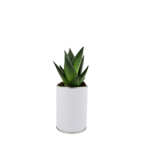 Canette à plante publicitaire