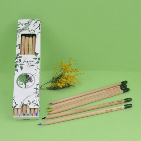 6 crayons de couleurs publicitaires - SPROUT à planter