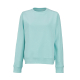 Vue de face d'un sweat femme à col rond de couleur bleu clair, manches longues et finitions en bord-côte aux poignets et à la ta Vue de face d'un sweat femme à col rond de couleur bleu clair, manches longues et finitions en bord-côte aux poignets et à la ta
