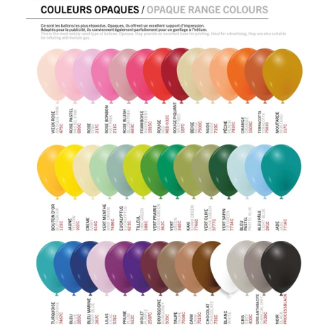 Nuancier présentant plusieurs ballons gonflables opaques regroupés en différentes couleurs, sans personnalisation visible.